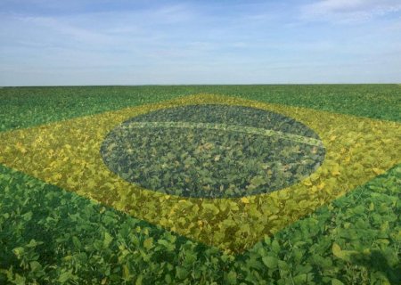 Região do Brasil que mais cresceu em 2023 teve desempenho puxado pelo agro; veja qual foi