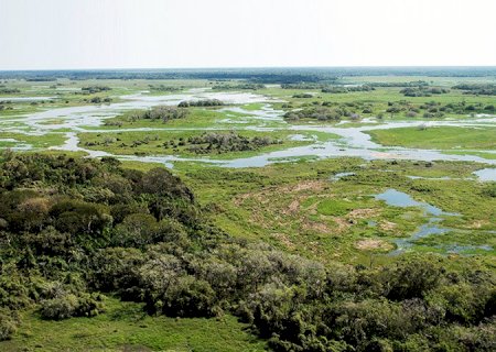 Com faturamento de mais de R$ 1,83 bilhão ao ano, a pecuária é a atividade que mais gera empregos no Pantanal
