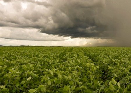Novembro promete chuvas nas regiões produtoras de soja; confira a previsão