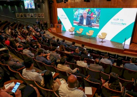 Brasil se mantém competitivo no mercado internacional de soja e milho, mas com margem apertada