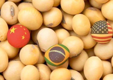 Aproximação entre Brasil e China afeta contratos da soja em Chicago; veja cotações