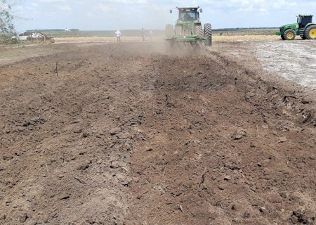 Doses elevadas de calcário podem elevar produtividade da soja em até 30%