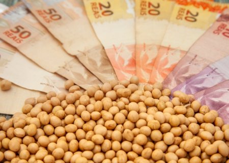 Confira as cotações da soja em dia de poucos negócios