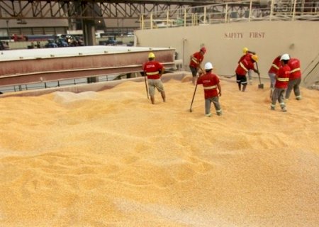 Mercado do milho: Brasil intensifica compras do Paraguai