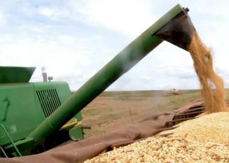 Conab projeta safra de grãos 2024/25 de 322,53 milhões de toneladas