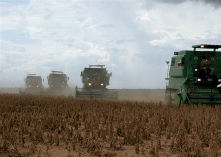 Projeção de safra recorde desafia produtores