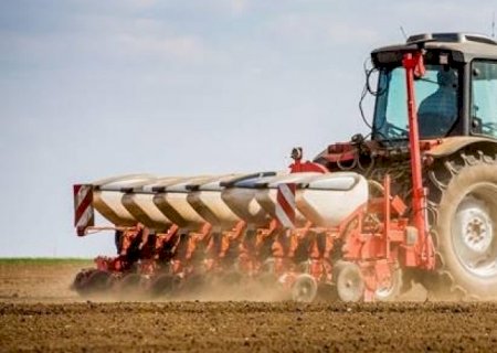 Plantio de soja do Brasil é 2º mais acelerado da história