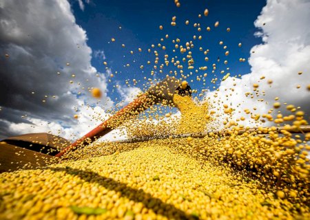 PIB do agro pode crescer 5% em 2025 diz CNA, que alerta para desafios