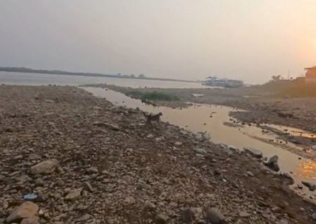 Seca que atingiu MS em 2024 invadiu 59% do território brasileiro e é a maior da história