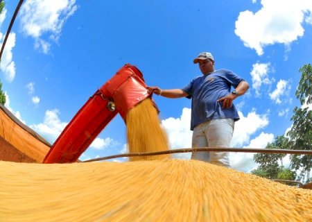 Produtores rurais devem declarar área plantada de soja até o dia 10 de janeiro no site da Iagro