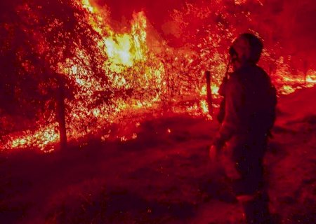 Área queimada no Brasil quase dobra em relação a 2023 e bate recorde de seis anos