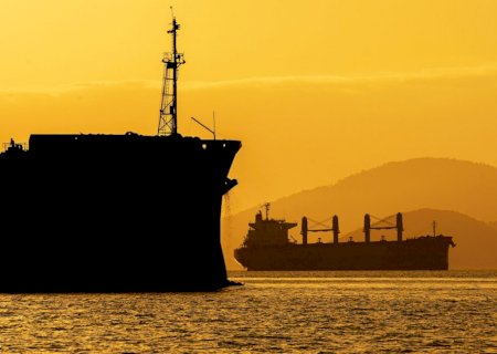 Soja, farelo e milho: Anec eleva previsão de exportação em dezembro