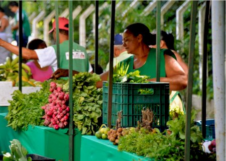 Feira Agroecológica destaca diversidade, sustentabilidade e protagonismo local