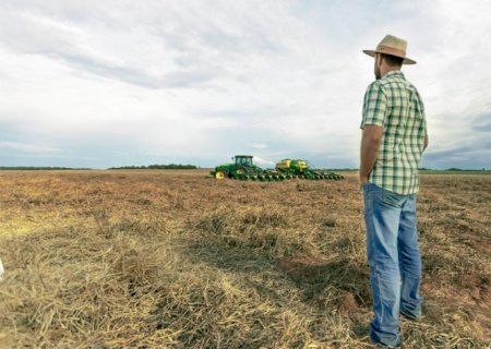 Recuperação judicial no agro dispara com custo maior, preço menor e clima