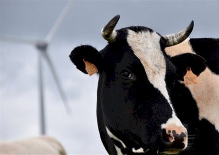 Brasil registra recorde de importações de lácteos em 2024