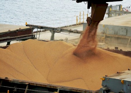 Cresce previsão de exportação de soja, farelo e milho em dezembro