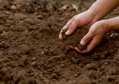 Dia Mundial do Solo: A importância das boas práticas de conservação