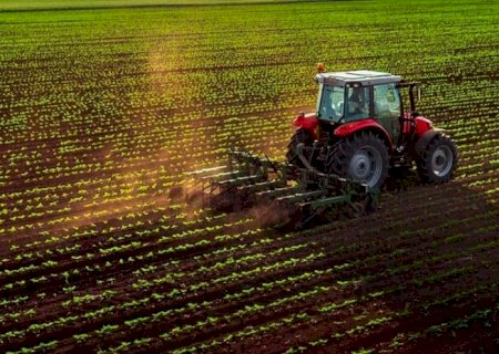 Bons volumes de chuva favorecem cultivos de primeira safra