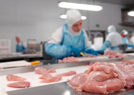 Exportações de carne de frango crescem 23,2% em novembro