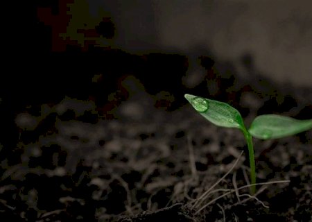 Microrganismos são aliados da sustentabilidade