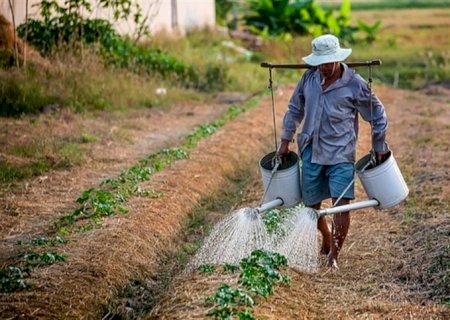 Desemprego no agro: taxa de desocupação no setor cai