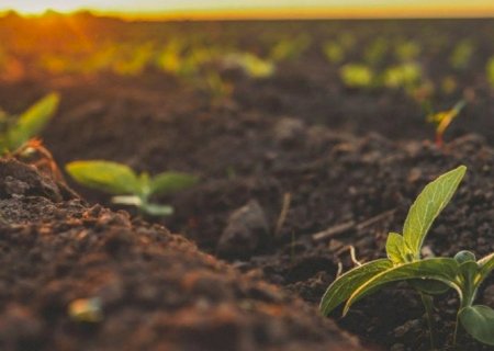 Um plano além da safra: A urgência de inovar o financiamento do agro
