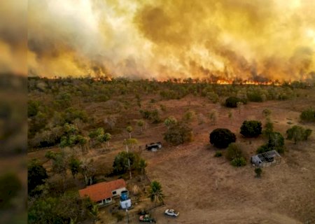 Mais de 2 milhões de hectares de MS foram devastados pelo fogo em 2024, aponta relatório do Cemtec