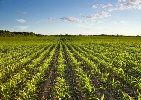 Para se manter relevante na agricultura: propósito, ousadia e resiliência