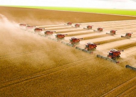 Qual será o impacto da nova supersafra na economia brasileira?