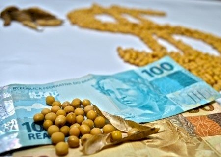 Como ficaram os preços da soja? Veja o fechamento de mercado