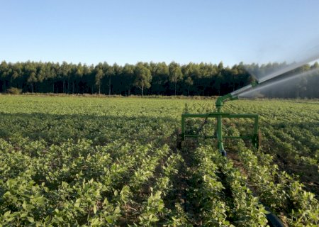 Produtor rural vai emitir nota por meio digital a partir deste ano
