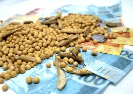 Poucos negócios para a soja; confira o fechamento de mercado
