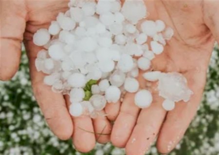 Seguro agrícola é essencial contra granizo