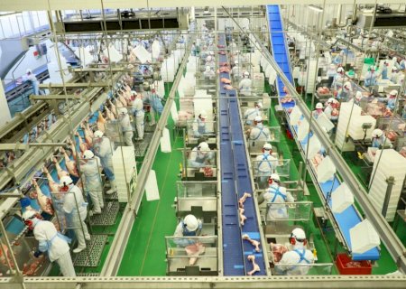 Crescimento no agronegócio é impulsionado pela agroindústria e agrosserviços