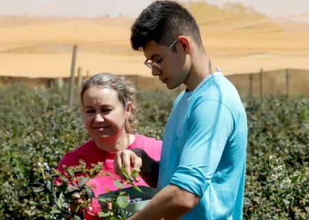 Crédito rural e capacitação podem impulsionar a queda nos preços dos alimentos