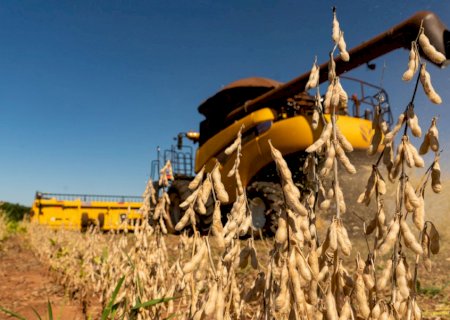 Safra de soja tem potencial reduzido em MS, PR e RS, mas ainda é recorde no Brasil