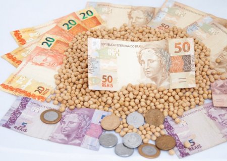 Saiba as cotações da soja em dia de mercado volátil