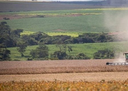 Preço de terras agrícolas mais que dobra em cinco anos