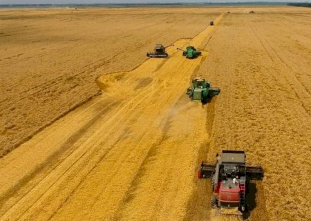 Como escolher a máquina agrícola Ideal?