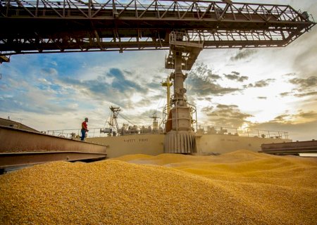 Oferta limitada de milho de Brasil e Ucrânia favorece exportações dos EUA