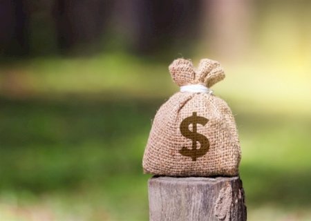 Seguro agrícola: indispensável para o milho safrinha
