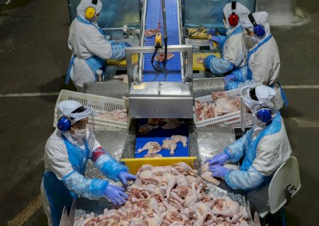 México renova acordo que fortalece exportações do agronegócio brasileiro