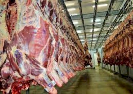 MS aumenta exportações de carne bovina em 33% após expandir para 15 países