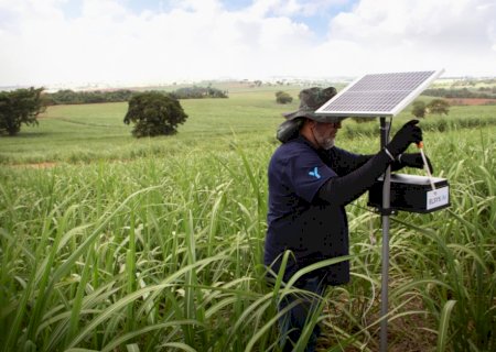 Armadilhas conectadas e inteligentes prometem proteger plantações contra pragas