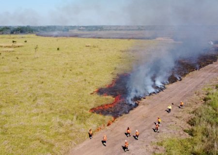 Sustentabilidade: Governo de MS moderniza controle de queimadas e fortalece prevenção a incêndios florestais