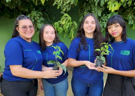 Programa MS+ECO – Escolas Mais Sustentáveis abrem inscrições em fevereiro