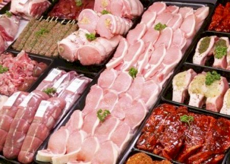 Brasil bate recorde histórico na produção de carnes e ovos em 2024