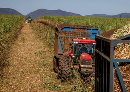 Safra de cana será menor, mas Brasil continuará protagonista no mercado