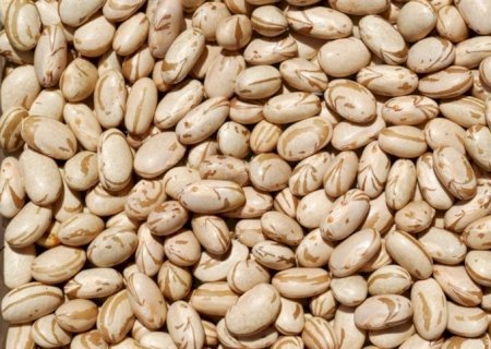 Mercado de feijão tem preços baixos e consumo em alta