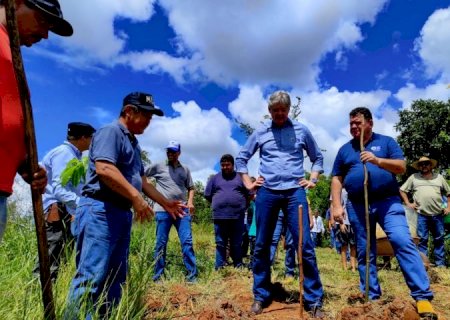 Inclusão Verde: Mato Grosso do Sul inova ao inserir a agricultura familiar no mercado de crédito de carbono